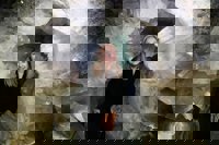 La Geoda de Pulpí (Almería) entra en la Lista Indicativa como paso previo a ser Patrimonio de la Unesco