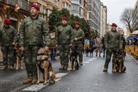 Las unidades caninas, protagonistas en la fiesta de Sant Antoni por su trabajo tras la dana