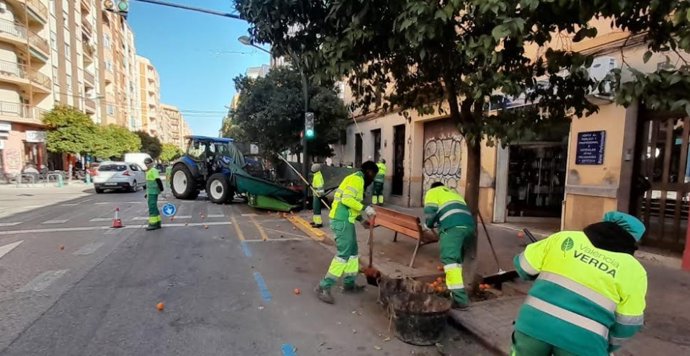Parcs i Jardins inicia la retirada de taronges de 8.819 arbres ornamentals