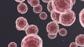 Foto: Investigadores identifican factores "clave" en la metástasis del sarcoma de Ewing y abren nuevas vías terapéuticas