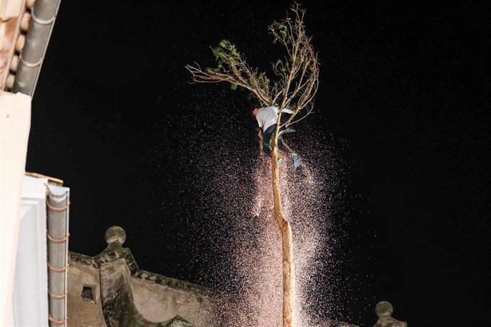 Jaume Coll, de 16 años, rompe la bolsa de confeti tras coronar el 'Pi de Sant Antoni' de Pollença.
