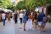 Andalucía planifica inspecciones en 2025 para "elevar el nivel" de su oferta y detectar servicios clandestinos