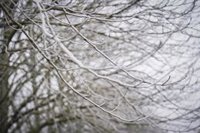 Protección Civil declara la alerta por nevadas y frío en Burgos, León, Palencia y Soria