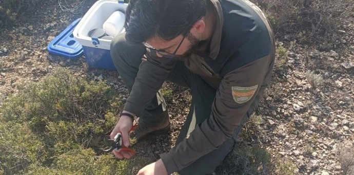 Los agentes de protección de la Naturaleza recogiendo muestras de humedad
