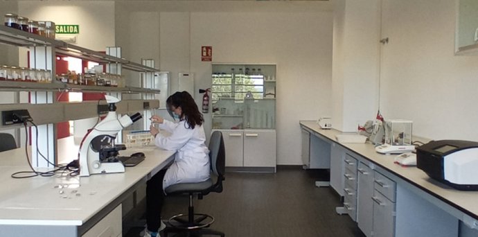 El Centro de Investigación y Tecnología Agroalimentaria de Aragón (CITA) organiza una jornada sobre emprendimiento en apicultura.