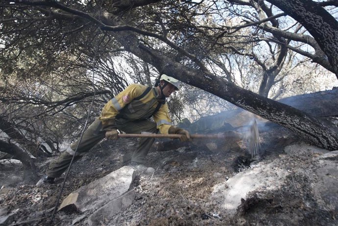 Archivo - Imagen de un bombero forestal en labores de extinción de un fuego