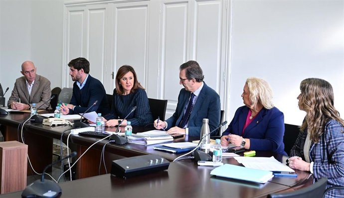 Tercera sesión de la comisión municipal de investigación sobre la dana