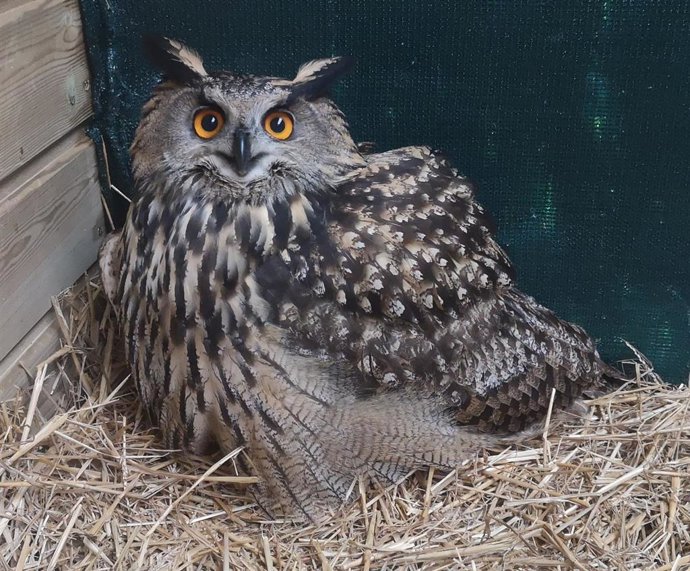 Este proyecto, iniciado en 1975, fue pionero en el Estado en la acogida de fauna silvestre