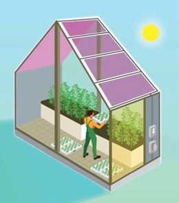Green Rain Solar Inc.