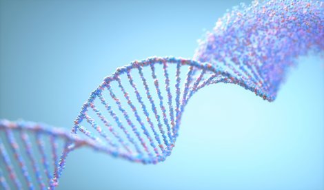 Investigación