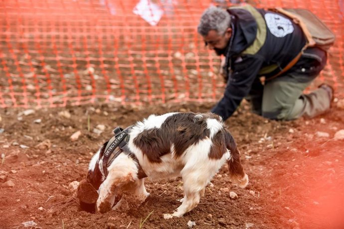 Archivo - La sexta edición del concurso se celebrará en Murero los días 1 y 2 de febrero.