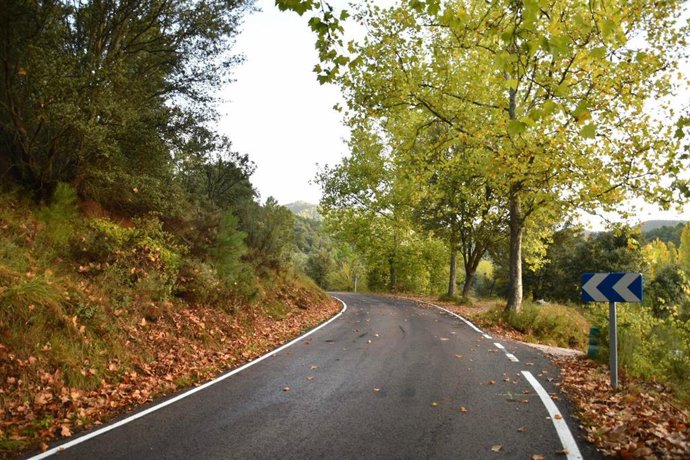 Archivo - Señalización horizontal en una carretera de la Red Viaria Provincial de Albacete.