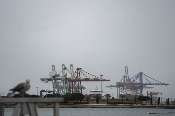 Archivo - Grúas en el Puerto de Valencia
