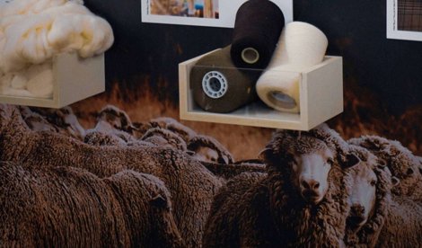 Comunicados Sociedad