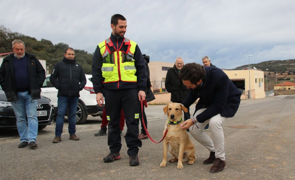 Lapize es uno de los perros de rescate.