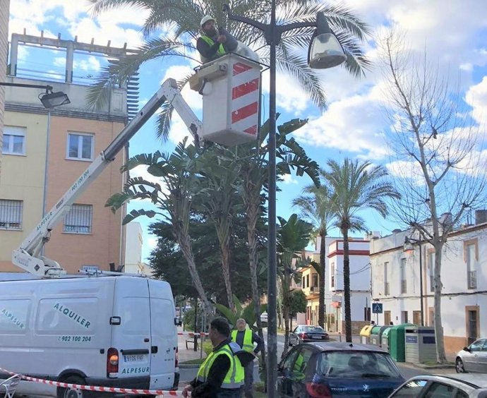 Cambio de luminaria en Alcalá de Guadaíra