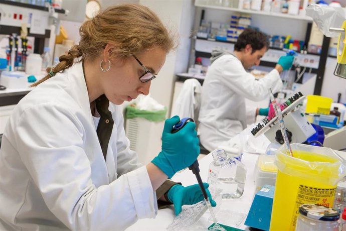 Archivo - Investigadores trabajando en uno de los laboratorios de la Universidad de Navarra