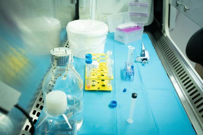 Archivo - Salud confirma la presencia de Clostridium prefigens en la muestra de montadito de pringá.