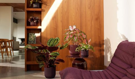 Comunicados Empresas