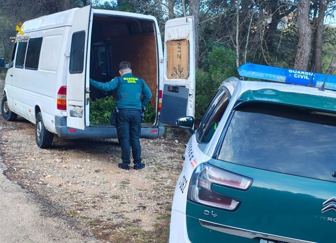 Intervienen 100 kilogramos de lentisco recolectados en el Parque Natural de la Fontcalda (Tarragona)
