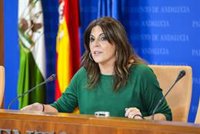 PSOE-A critica los "cañones de fango" y los "ataques" que "destilan machismo" del PP-A contra Montero