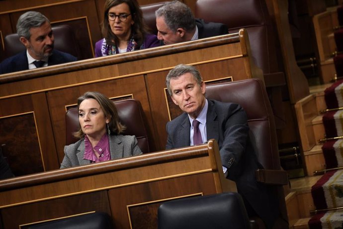 Archivo - La secretaria general del PP, Cuca Gamarra, y el presidente del PP, Alberto Núñez Feijóo, durante un pleno en el Congreso de los Diputados, a 19 de diciembre de 2024, en Madrid (España).
