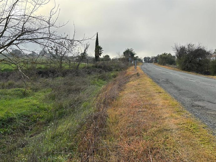Imagen de una cuneta objeto de fumigación