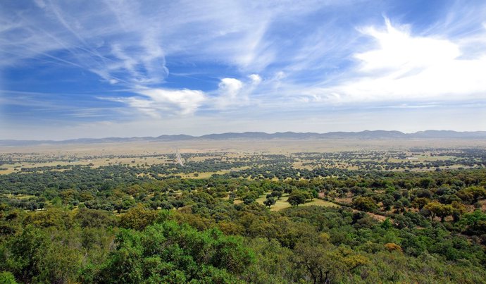Parque Natural del Valle de Alcudia y Sierra Madrona.