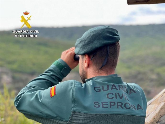 Archivo - Agente del Servicio de Protección de la Naturaleza (Seprona) en una imagen de archivo 