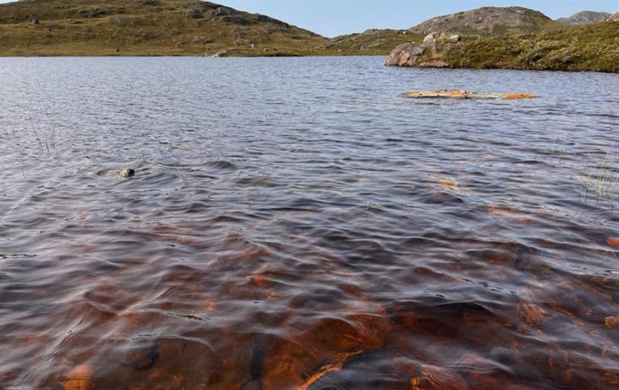 Los investigadores toman muestras de un lago cerca de Kangerlussuaq, Groenlandia, que se volvió marrón después de los eventos extremos.
