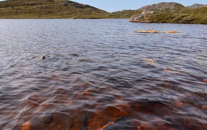 Los investigadores toman muestras de un lago cerca de Kangerlussuaq, Groenlandia, que se volvió marrón después de los eventos extremos.