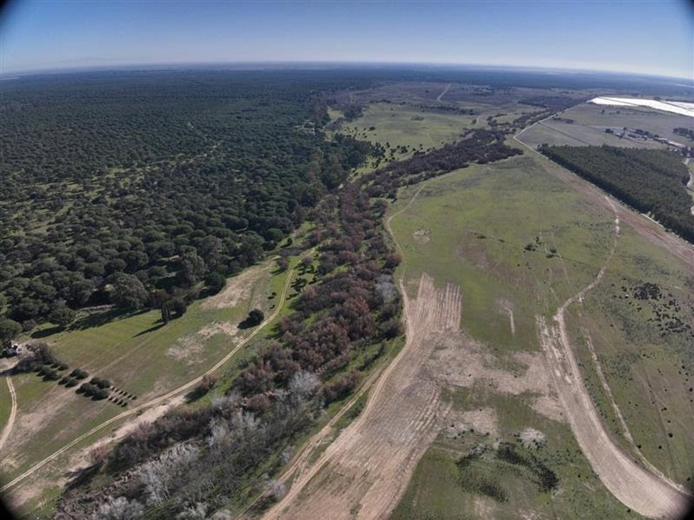 Imágenes aéreas obtenidas con drones del arroyo de El Partido (Doñana).