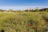 Carabante dice que transmisión de terrenos en Carabanchel "no tiene trascendencia" y censura el "vaivén" del Gobierno