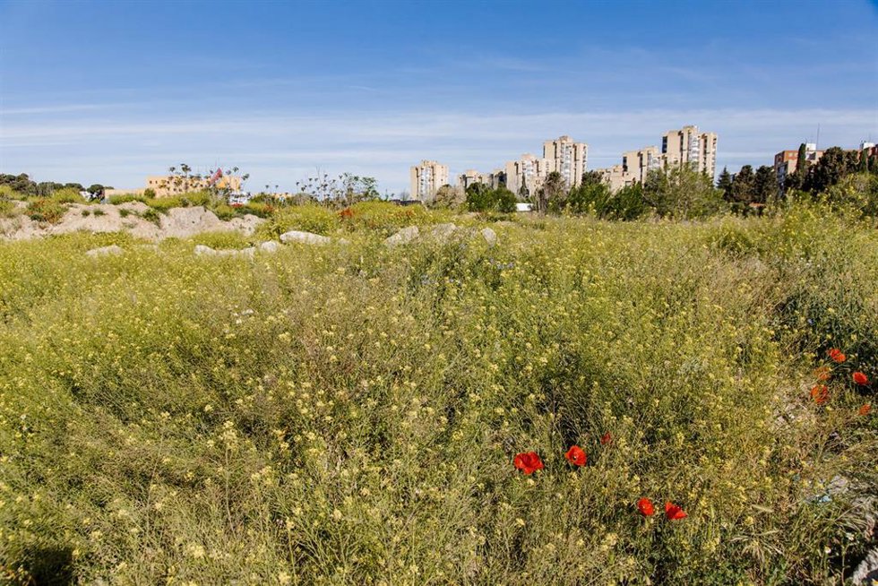 Archivo - Los terrenos de la antigua cárcel de Carabanchel donde se van a construir viviendas