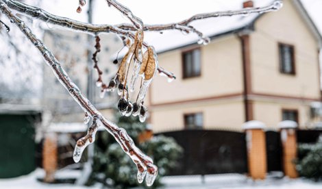 Comunicados Sociedad