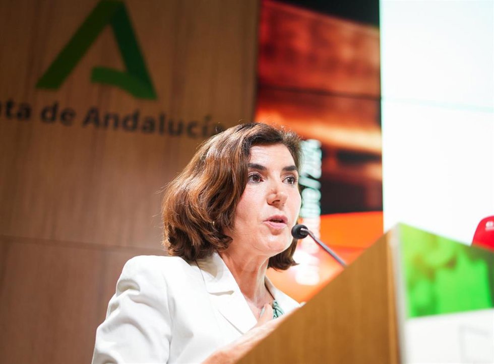 Archivo - Imagen de archivo de la consejera de Empleo, Empresa y Trabajo Autónomo, Rocío Blanco.