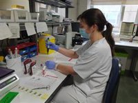 Organizaciones de técnicos superiores sanitarios considera un"varapalo" el Estatuto Marco propuesto por Sanidad