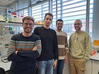 Las células humanas cuentan con pocas barreras para frenar la entrada de virus animales, según una investigación