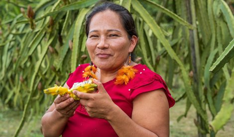 Comunicados Sociedad