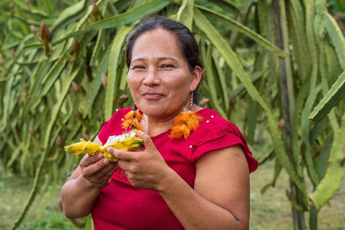 LOCAL COMIENDO PITAHAYA  