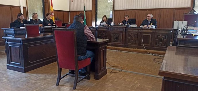José Manuel M.R., durante el juicio celebrado en su contra en la Sección Tercera de la Audiencia de Sevilla