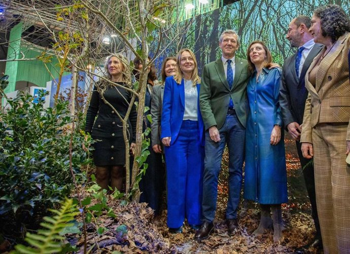 Bosque ubicado en el stand de Galicia en Fitur