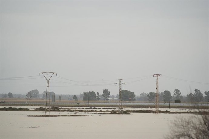 Zona inundada en el entorno de Moguer (Huelva).