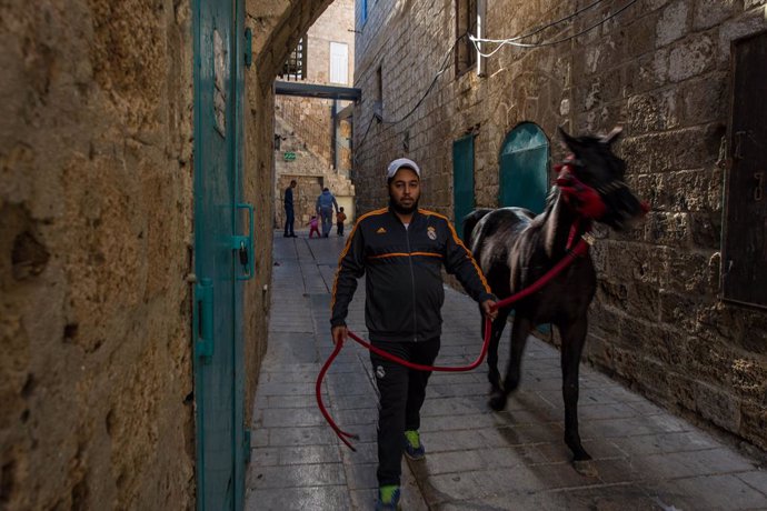 Archivo - ACRE, Dec. 31, 2013  A man pulls a horse in an alley in the Old City of Acre, northern Israel, on Dec. 27, 2013. The Old City of Acre in Acre in Israel was inscribed on the UNESCO World Heritage List in 2001. With a history of more than 5,000 ye