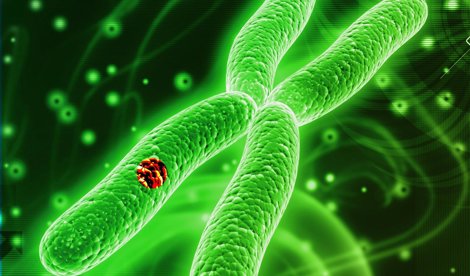 Comunicados Internacional