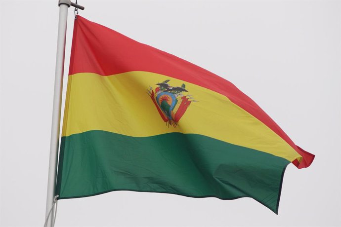 Archivo - October 10, 2024, Saint Petersburg, Russia: The national flag of the Plurinational State of Bolivia, fluttering in the wind on a flagpole in Saint Petersburg, Russia.