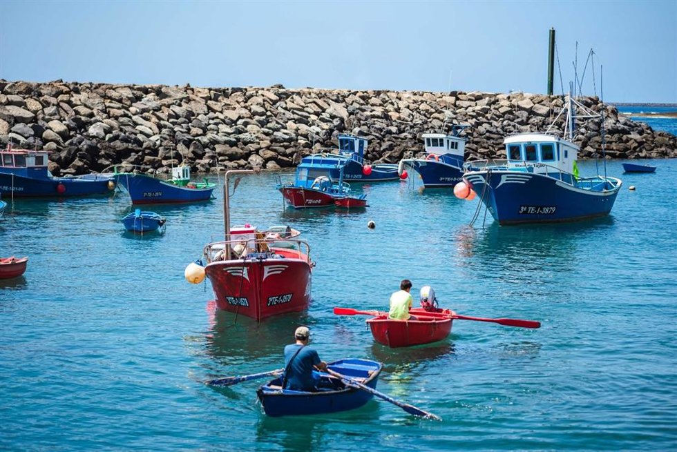 El Cabildo tinerfeño pide actualizar el reglamento de la Ley de Pesca con un "amplio" proceso participativo