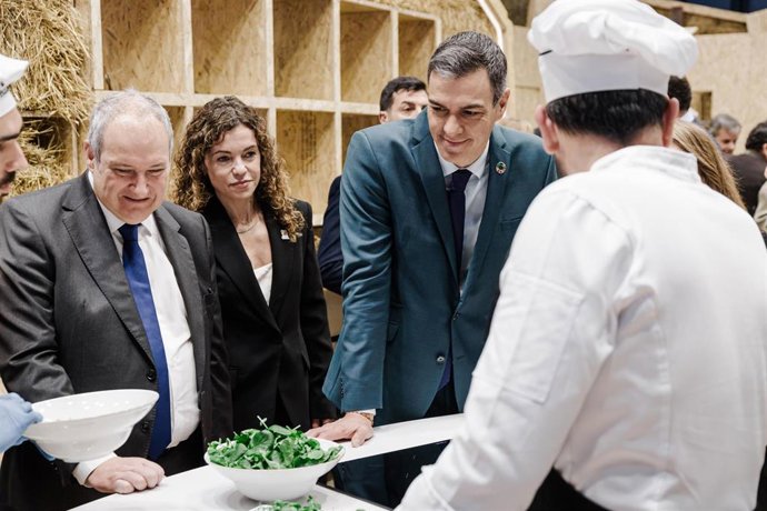 Vídeo de la noticia