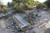 La no convalidación del decreto 'ómnibus' deja fuera de las ayudas a unos 700 agricultores afectados por Dana