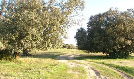 Comunicados Empresas